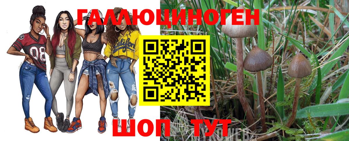 Галлюциногенные грибы ЛСД Мичуринск