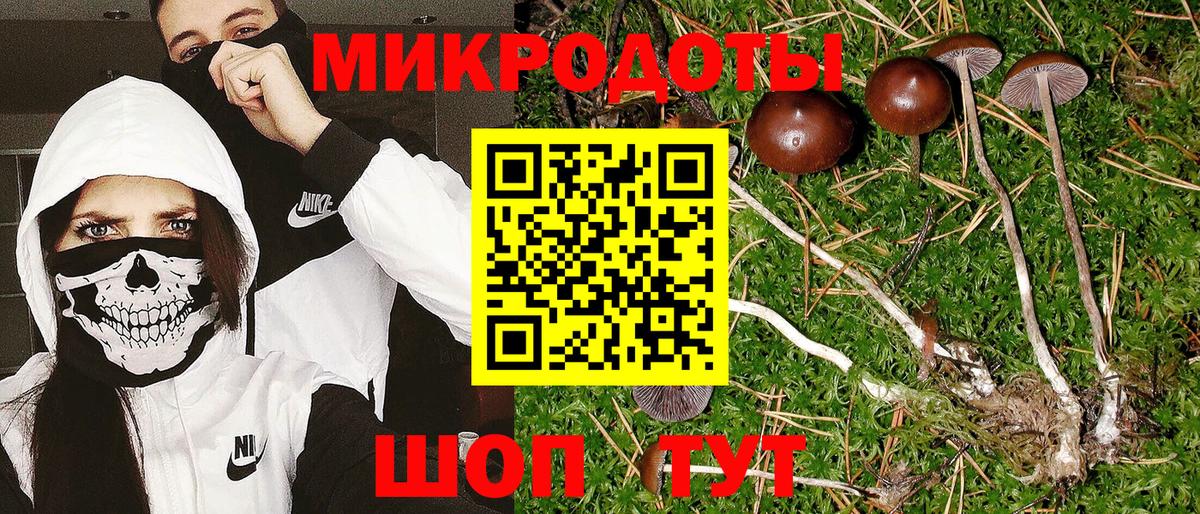 Псилоцибиновые грибы MAGIC MUSHROOMS  Вход с VPN  Мичуринск 